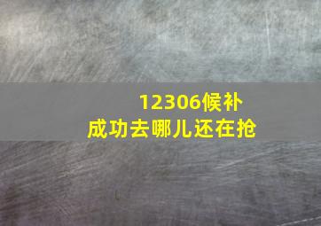 12306候补成功去哪儿还在抢