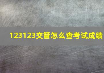 123123交管怎么查考试成绩