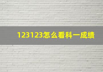 123123怎么看科一成绩