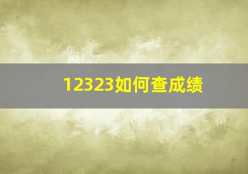 12323如何查成绩