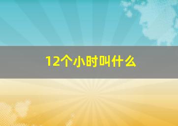 12个小时叫什么