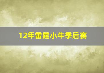 12年雷霆小牛季后赛