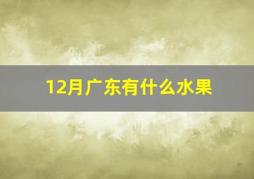 12月广东有什么水果