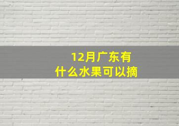 12月广东有什么水果可以摘