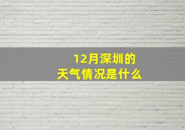 12月深圳的天气情况是什么