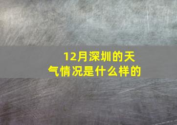 12月深圳的天气情况是什么样的