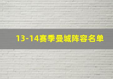 13-14赛季曼城阵容名单