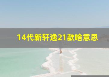 14代新轩逸21款啥意思