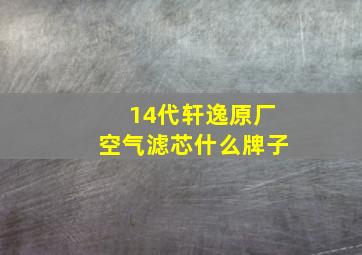 14代轩逸原厂空气滤芯什么牌子