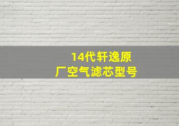 14代轩逸原厂空气滤芯型号