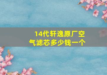 14代轩逸原厂空气滤芯多少钱一个