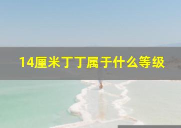 14厘米丁丁属于什么等级