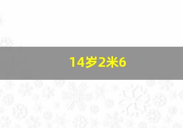 14岁2米6