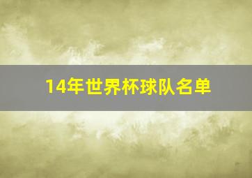 14年世界杯球队名单