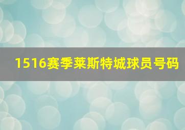 1516赛季莱斯特城球员号码