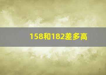 158和182差多高