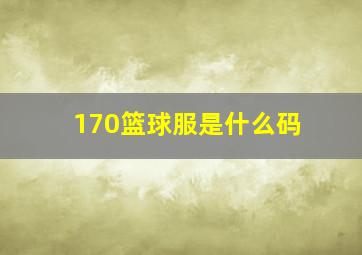 170篮球服是什么码