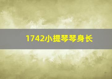 1742小提琴琴身长