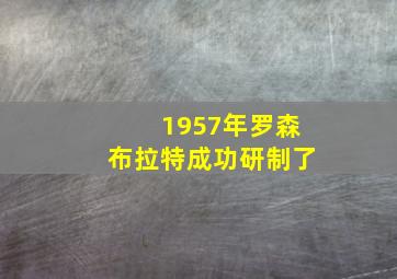 1957年罗森布拉特成功研制了