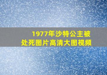 1977年沙特公主被处死图片高清大图视频