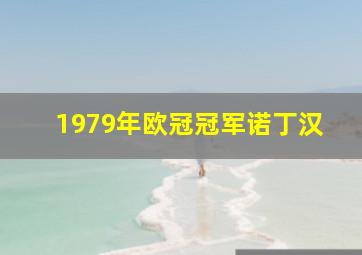 1979年欧冠冠军诺丁汉