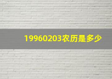 19960203农历是多少