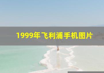 1999年飞利浦手机图片