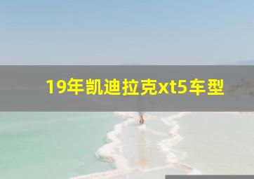 19年凯迪拉克xt5车型