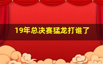 19年总决赛猛龙打谁了