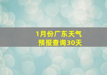 1月份广东天气预报查询30天