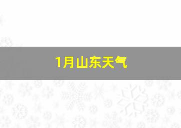 1月山东天气