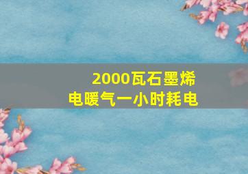 2000瓦石墨烯电暖气一小时耗电