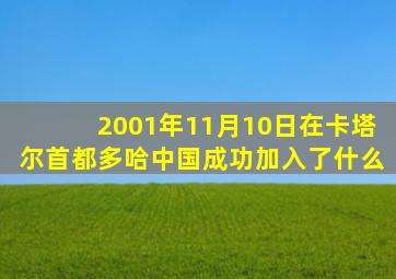 2001年11月10日在卡塔尔首都多哈中国成功加入了什么