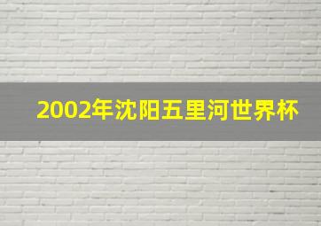 2002年沈阳五里河世界杯