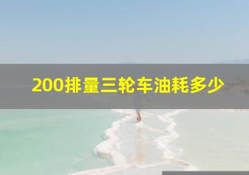 200排量三轮车油耗多少