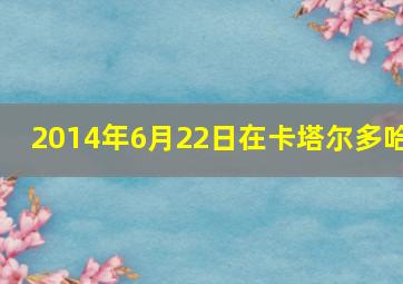 2014年6月22日在卡塔尔多哈