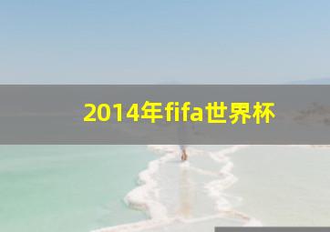 2014年fifa世界杯