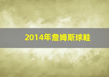 2014年詹姆斯球鞋