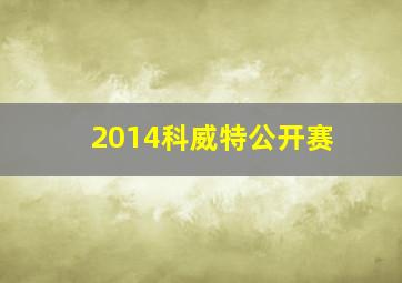 2014科威特公开赛