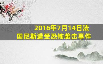 2016年7月14日法国尼斯遭受恐怖袭击事件