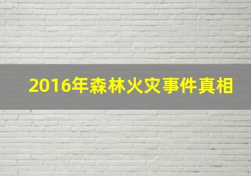 2016年森林火灾事件真相