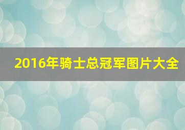 2016年骑士总冠军图片大全