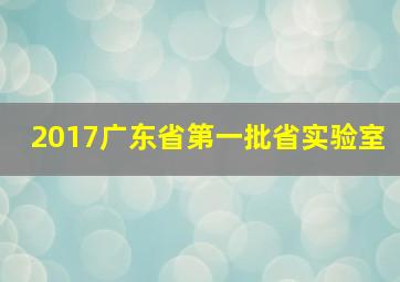 2017广东省第一批省实验室