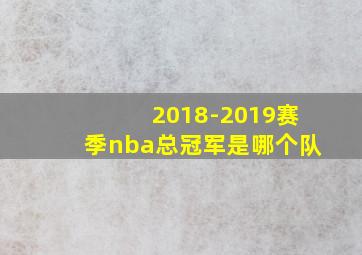 2018-2019赛季nba总冠军是哪个队