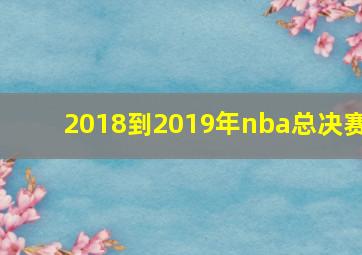 2018到2019年nba总决赛