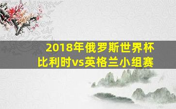 2018年俄罗斯世界杯比利时vs英格兰小组赛