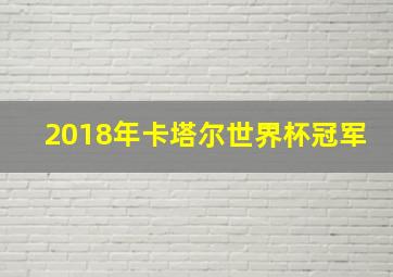 2018年卡塔尔世界杯冠军