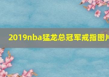 2019nba猛龙总冠军戒指图片