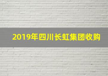 2019年四川长虹集团收购