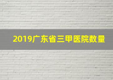 2019广东省三甲医院数量